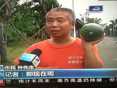 近几年吃瓜热门事件,揭秘娱乐圈风云变幻