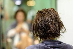 广州的男明星网红,闪耀都市的流量担当