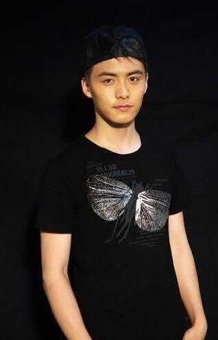 明星网红合唱好听的歌,网红明星同台献声，经典旋律再现魅力瞬间