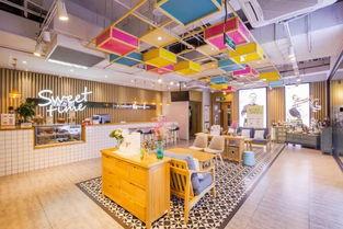 明星网红店在哪里,揭秘热门打卡地