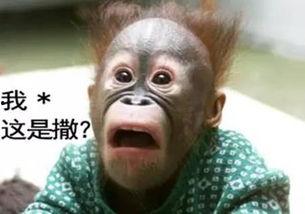 兄弟们吃瓜黑料,吃瓜黑料背后的真相与反思