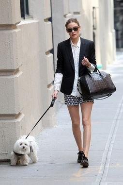 明星网红穿搭日常