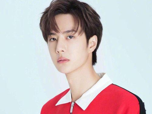 湛江明星网红有哪些