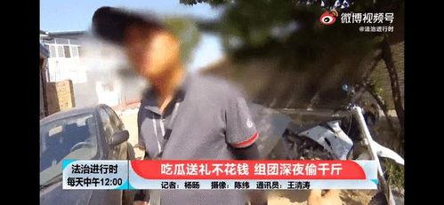 吃瓜爆料四千年视频,吃瓜爆料四千年，娱乐圈幕后真相大曝光