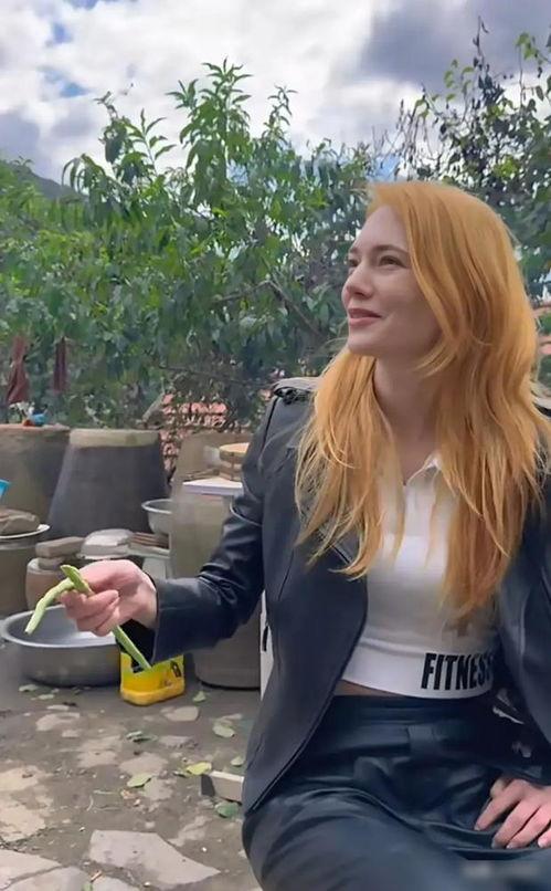 明星网红拍短视频,明星网红的创意演绎与粉丝互动