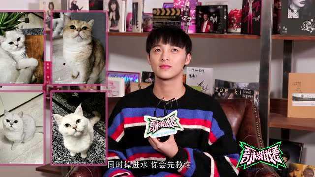 明星网红对比音乐推荐,音乐推荐背后的故事与风格解析