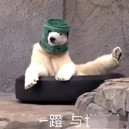 沙雕吃瓜爆料图片大全,揭秘娱乐圈幕后真相