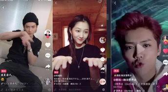 明星网红合拍大全视频,精彩瞬间大盘点