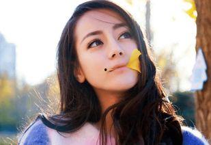 自贡有哪些明星网红,璀璨星光下的城市名片