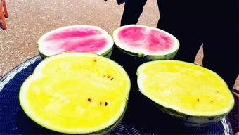 最新吃瓜爆料四川